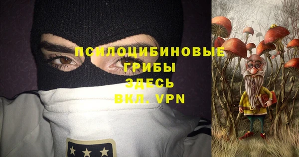 ECSTASY Вяземский